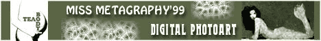 Miss Metagraphy